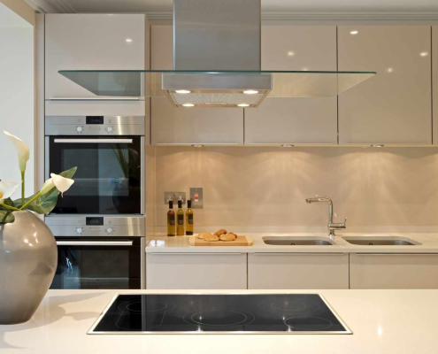 Modern kitchen with vase and appliances