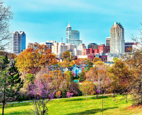 Skyline view of a vibrant city park in Raleigh, NC